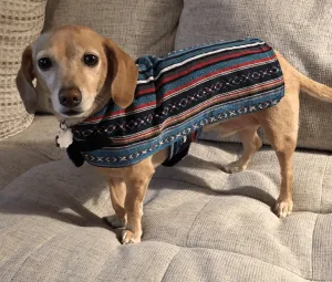 100% Hand-Woven Dog Poncho from Walking Palm