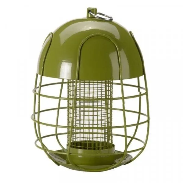 Acorn Squirrel-Proof Peanut Feeder