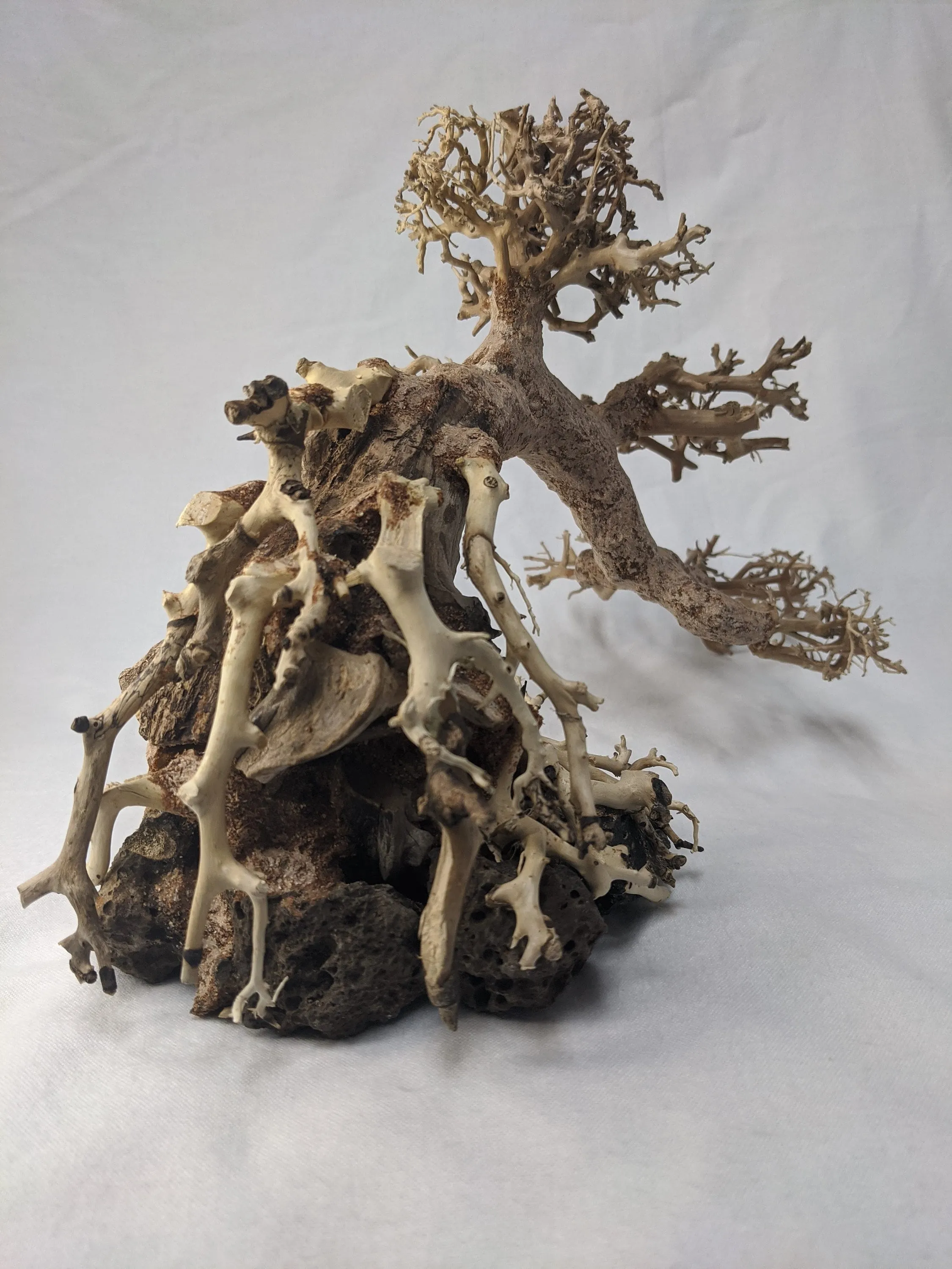 Aquarium Bonsai Driftwood Tree