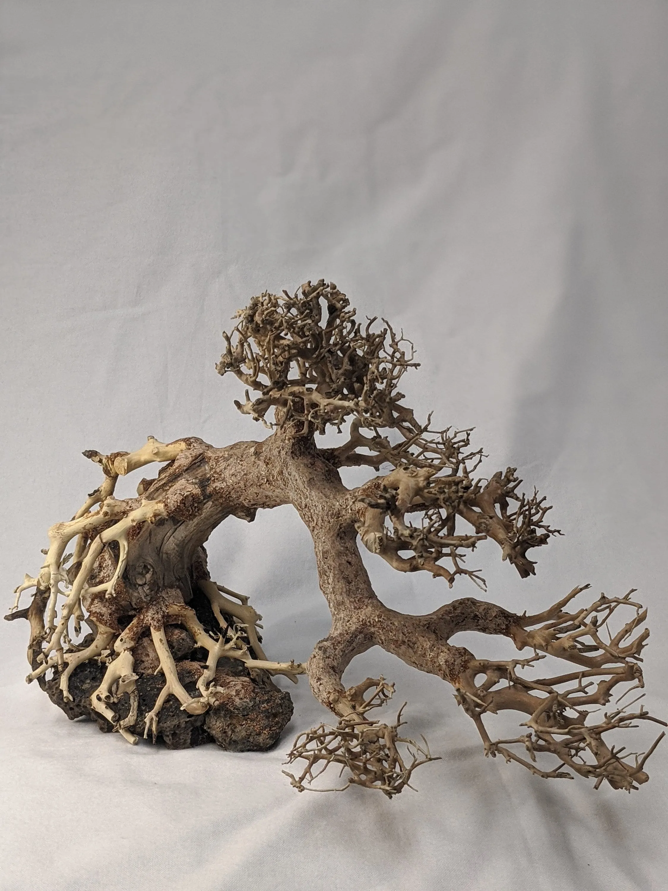 Aquarium Bonsai Driftwood Tree