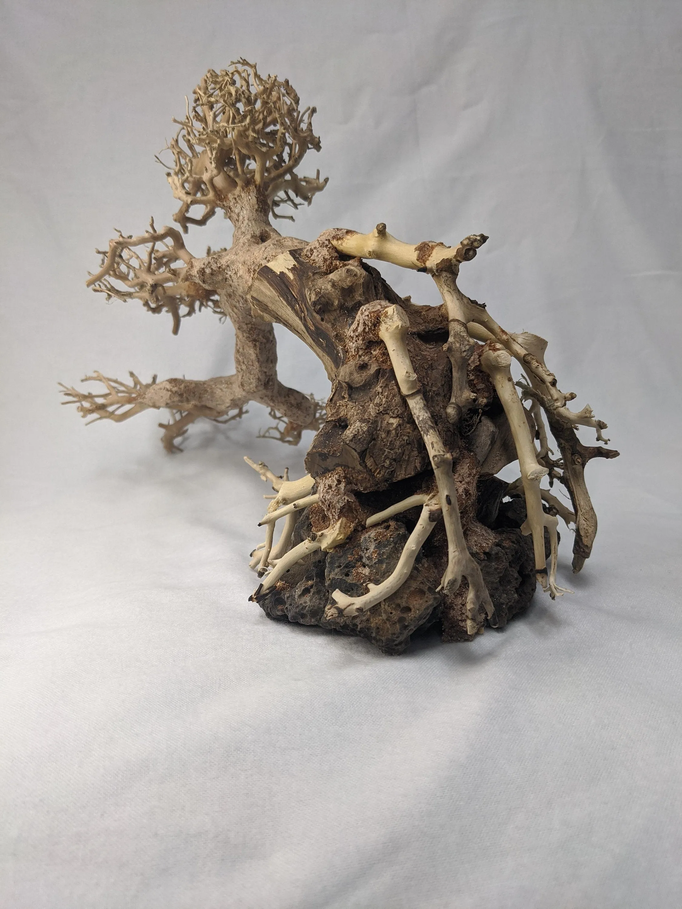 Aquarium Bonsai Driftwood Tree