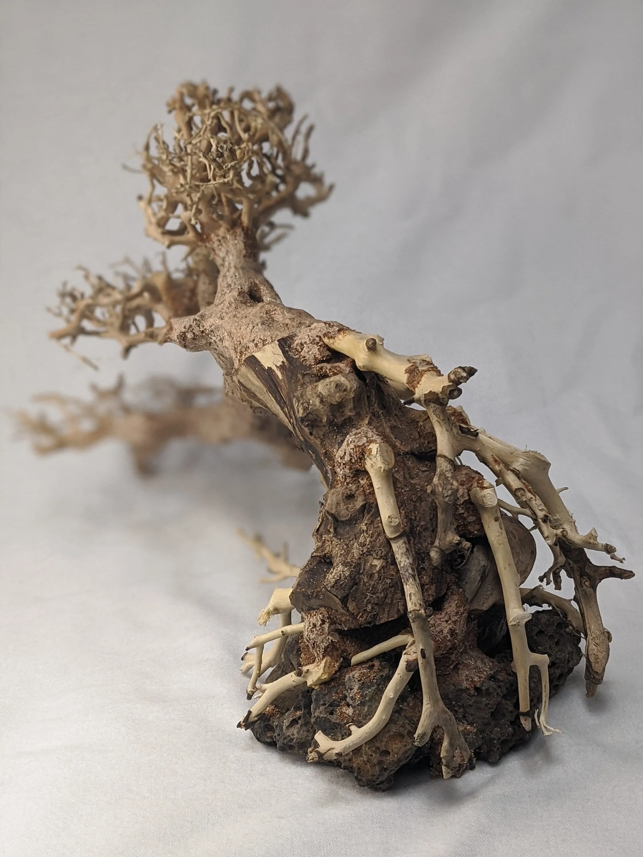 Aquarium Bonsai Driftwood Tree