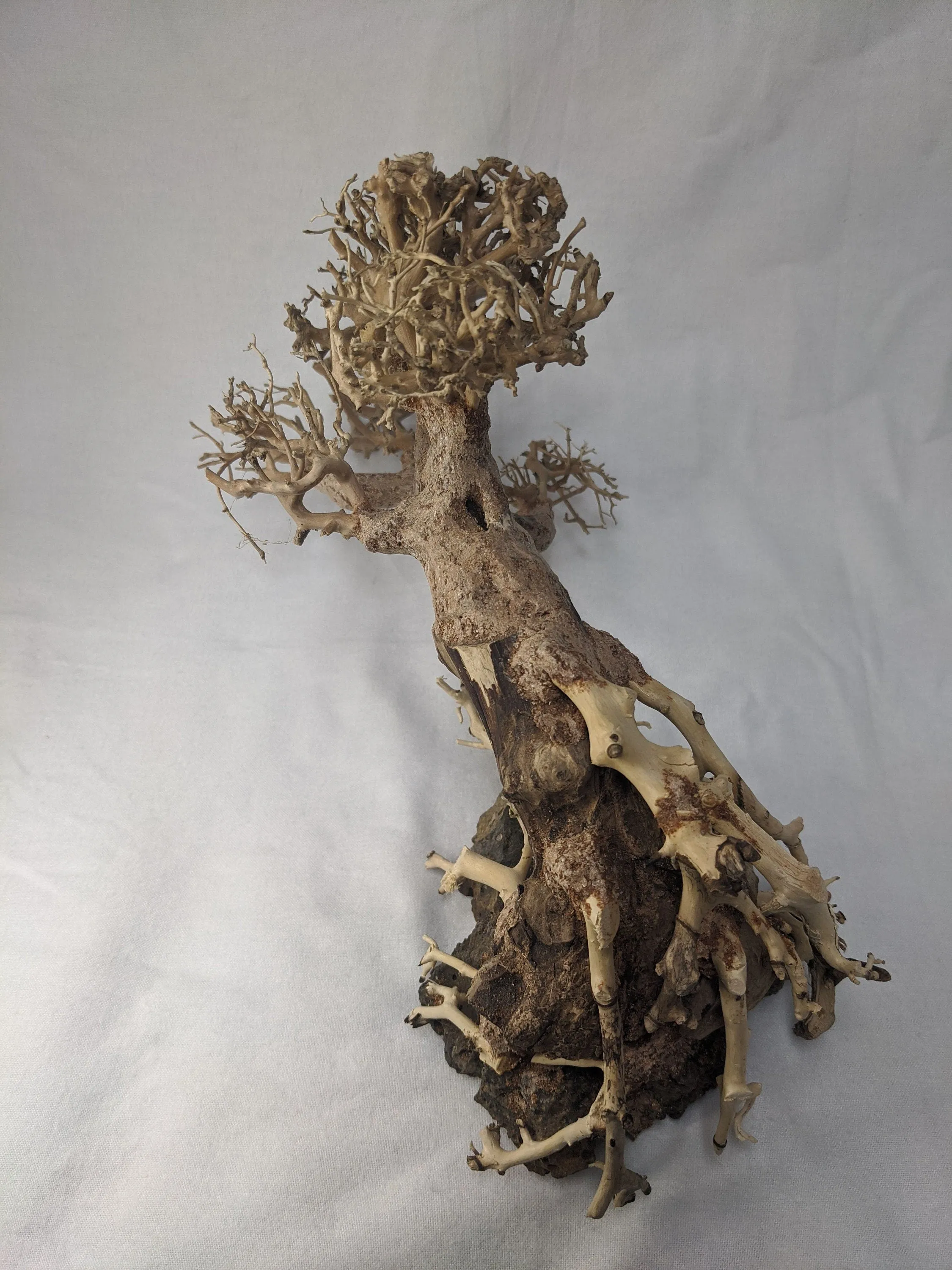 Aquarium Bonsai Driftwood Tree