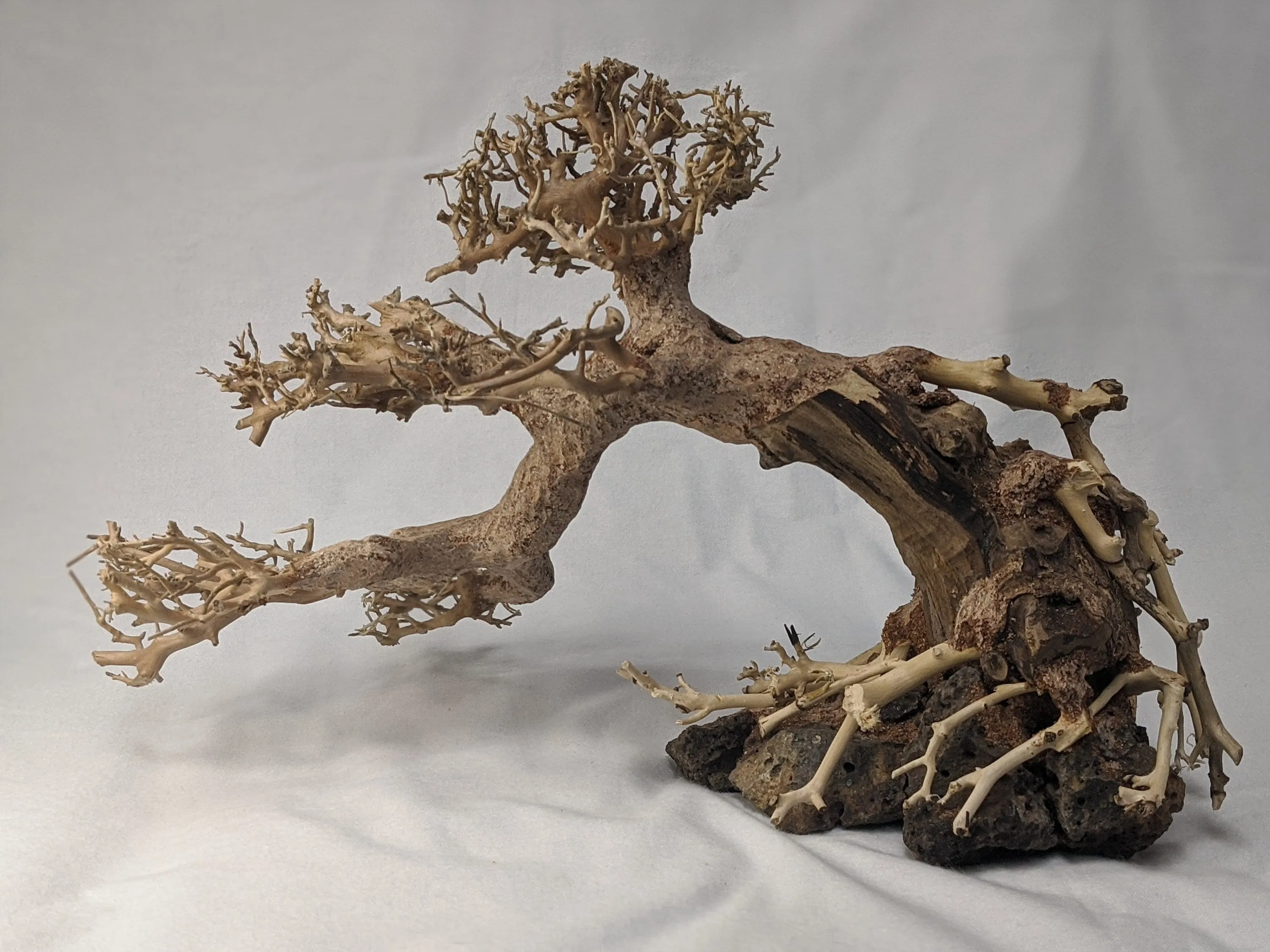 Aquarium Bonsai Driftwood Tree