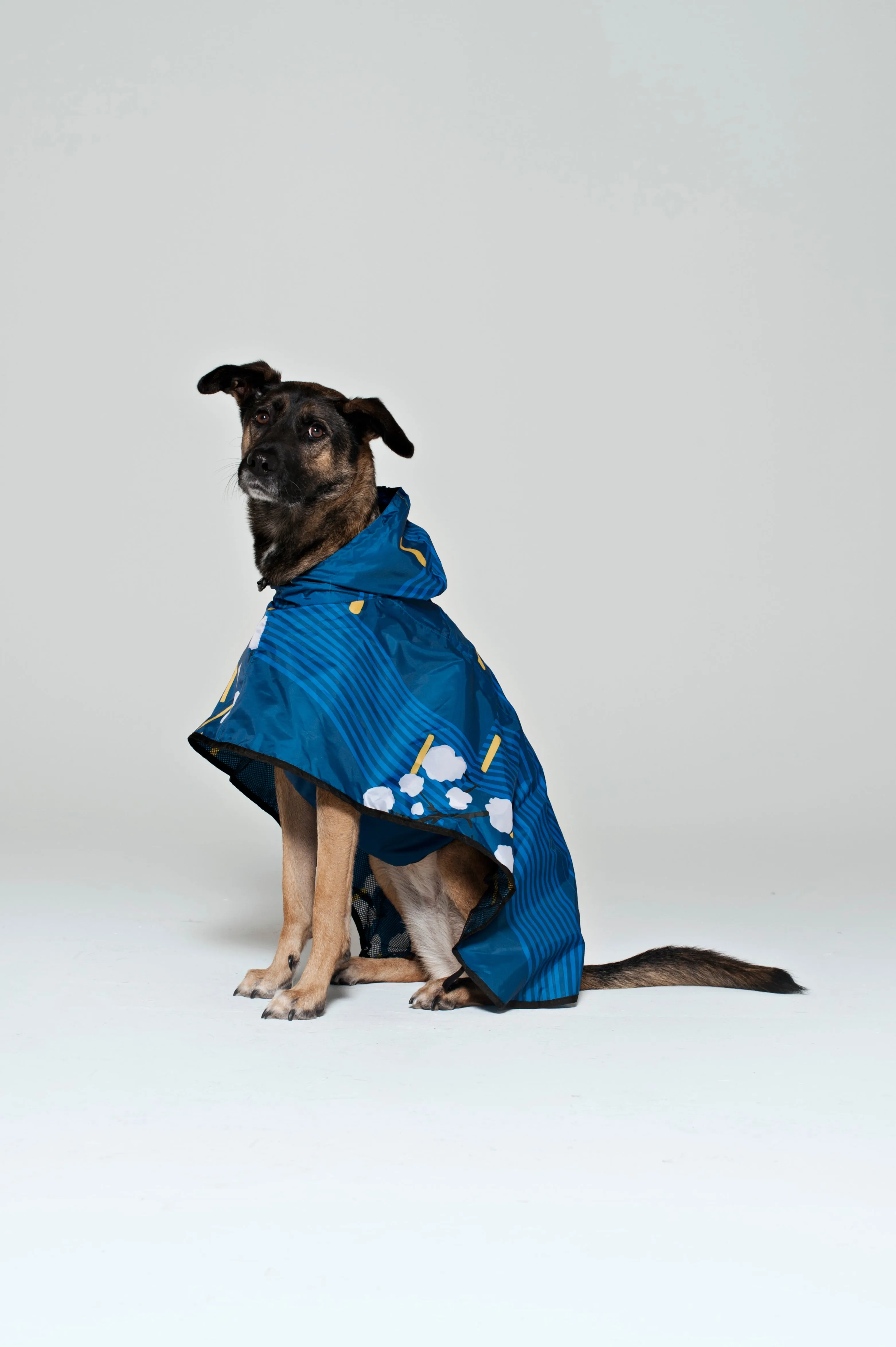 Dog Rain Poncho Japanese Blossom