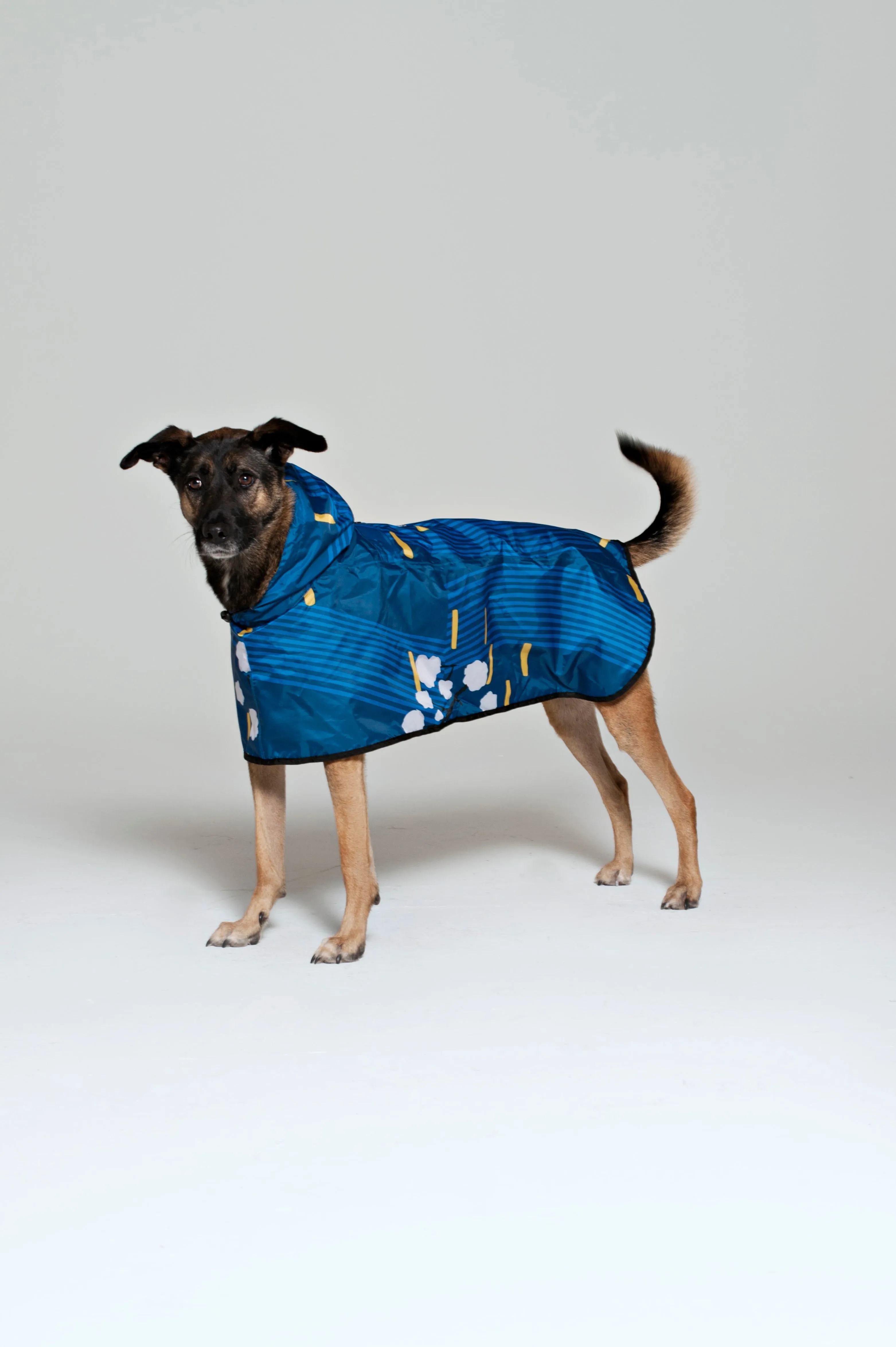 Dog Rain Poncho Japanese Blossom