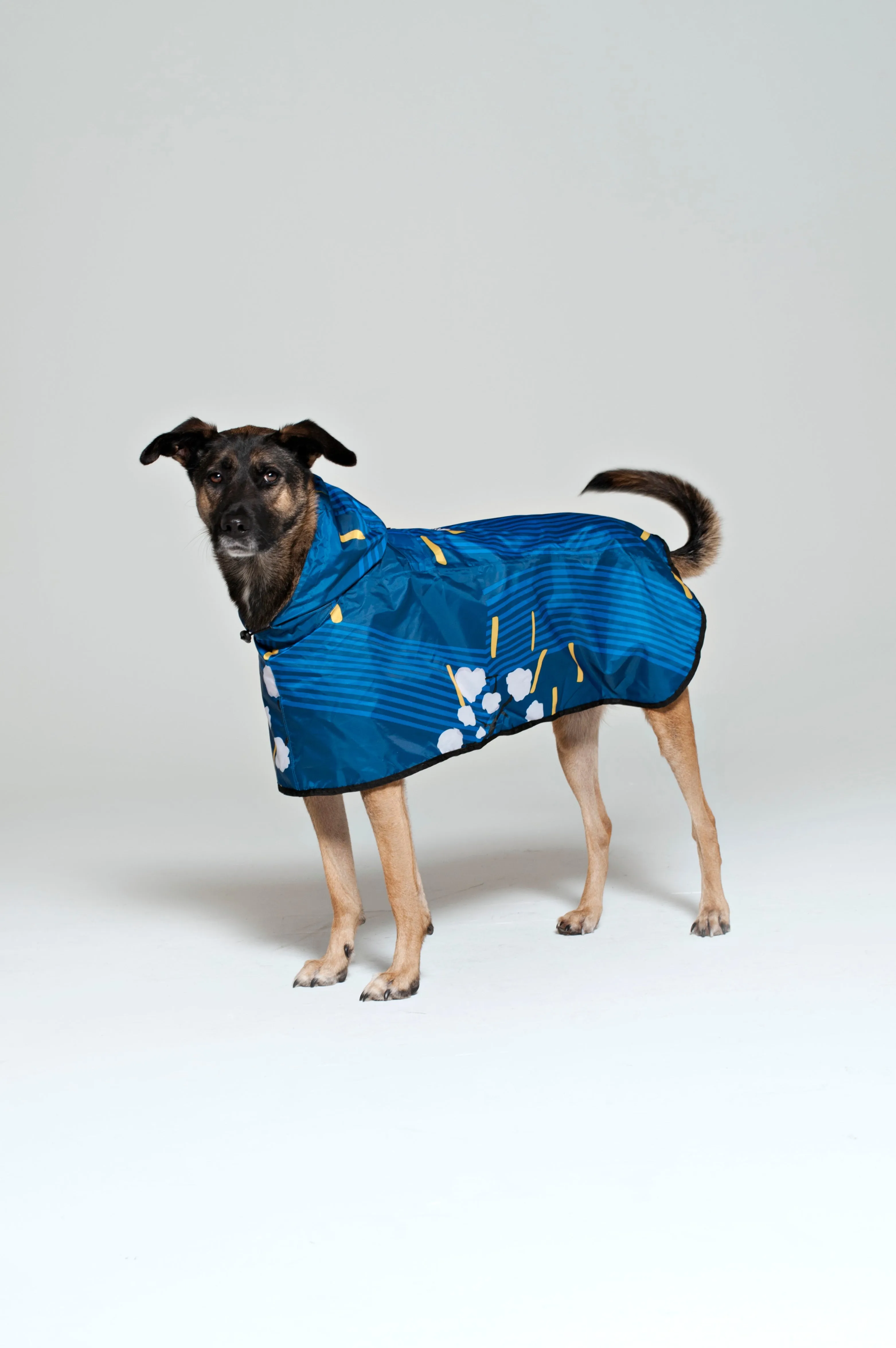 Dog Rain Poncho Japanese Blossom