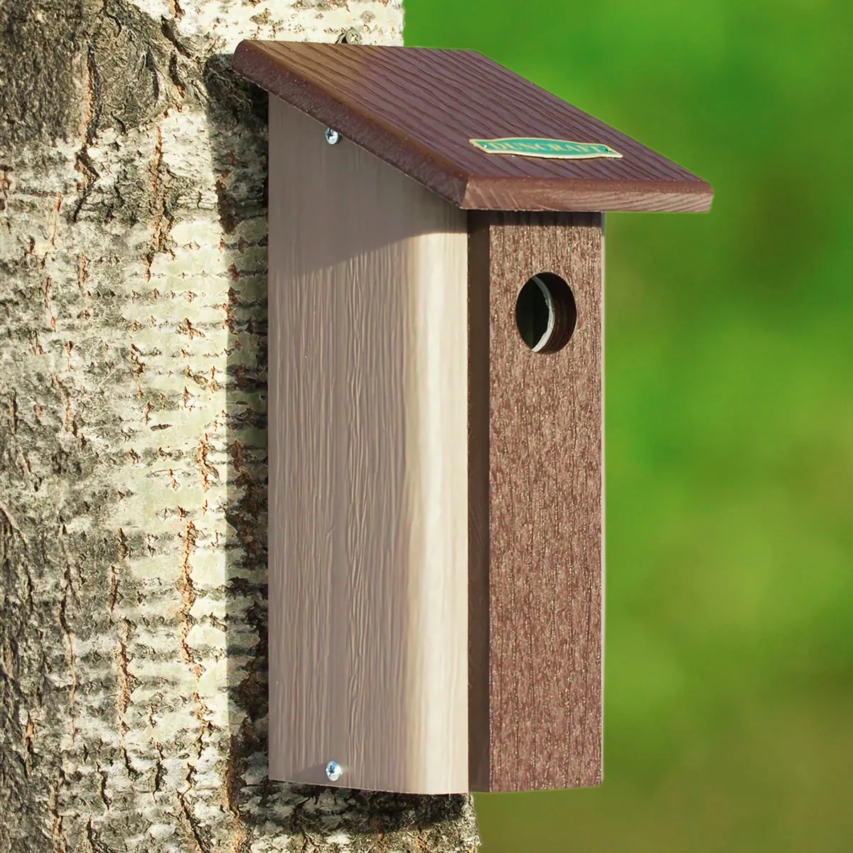 Downy Woodpecker Bird House