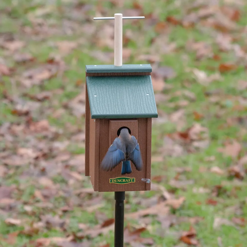 Duncraft Bird-Safe® Perch View Bluebird House & Pole