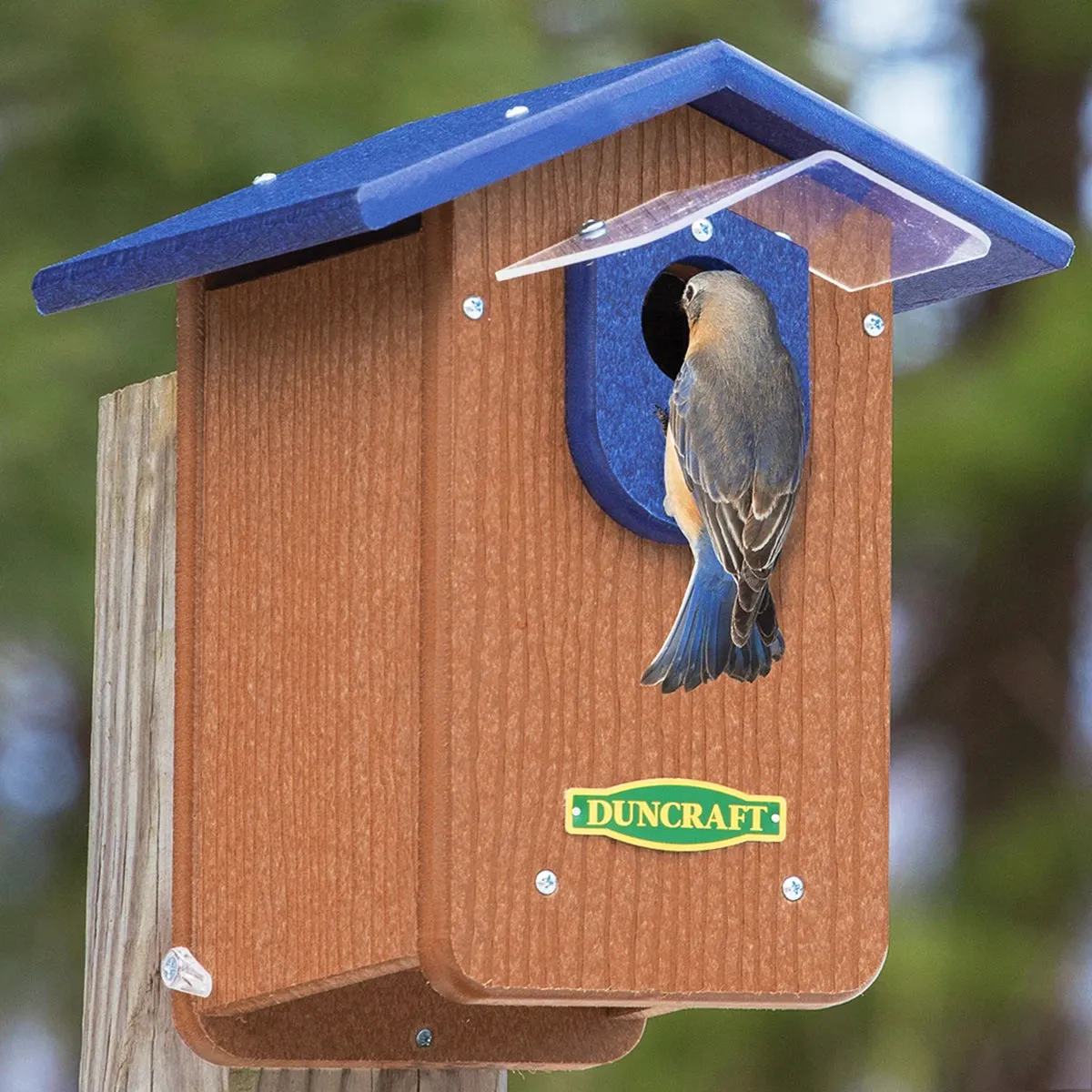 Duncraft Bluebird House with Predator Guard & Weather Shield