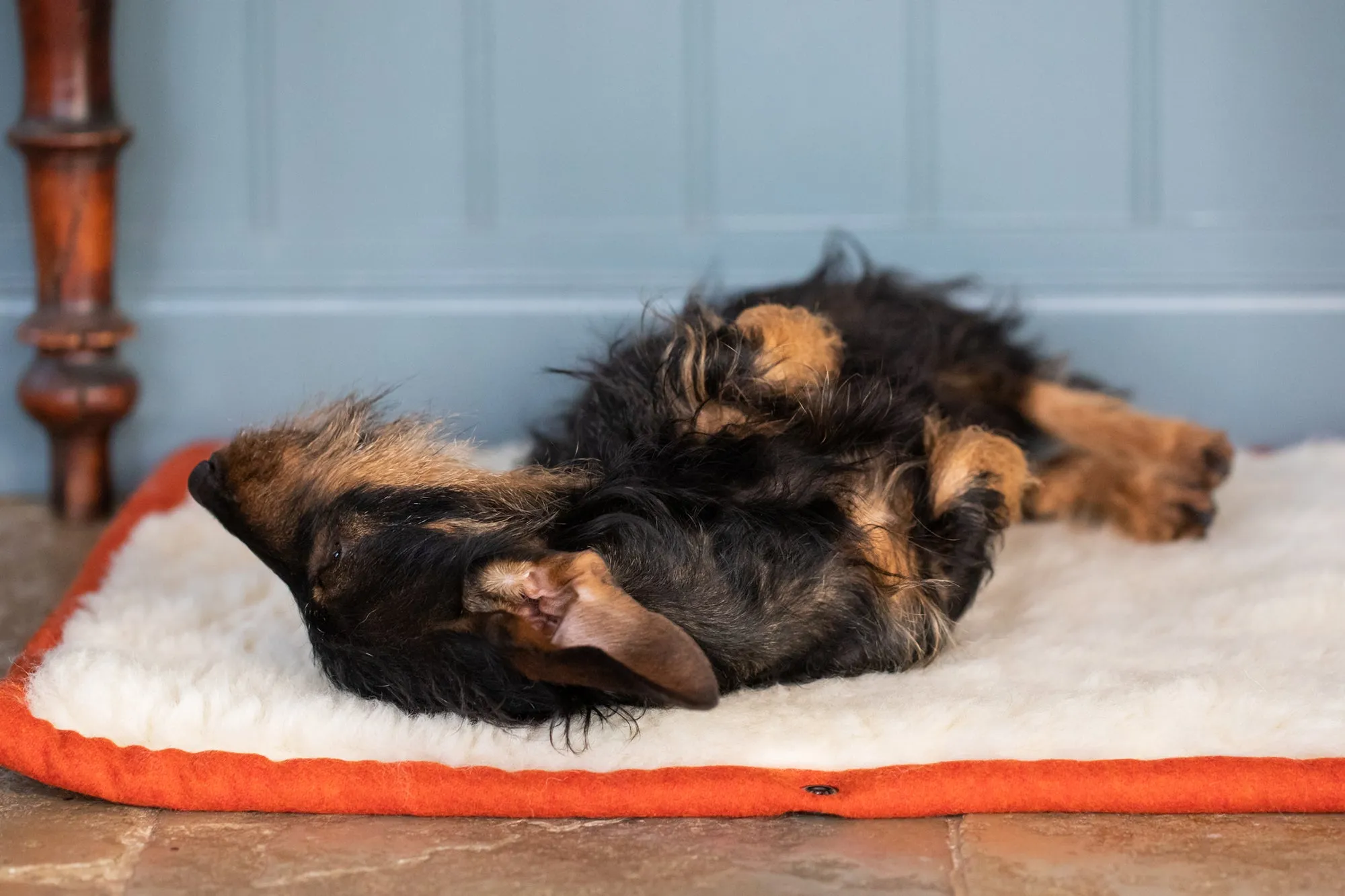 Fire Orange Bespoke Dog Roll Mat