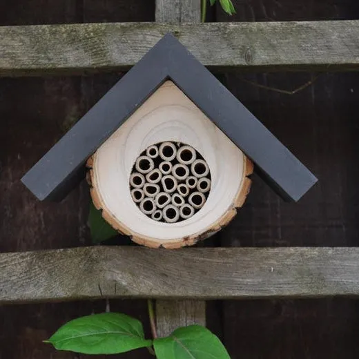 Gardenature The Honeycomb Solitary Bee Hive