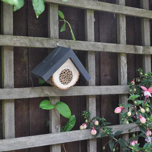 Gardenature The Honeycomb Solitary Bee Hive