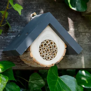 Gardenature The Honeycomb Solitary Bee Hive