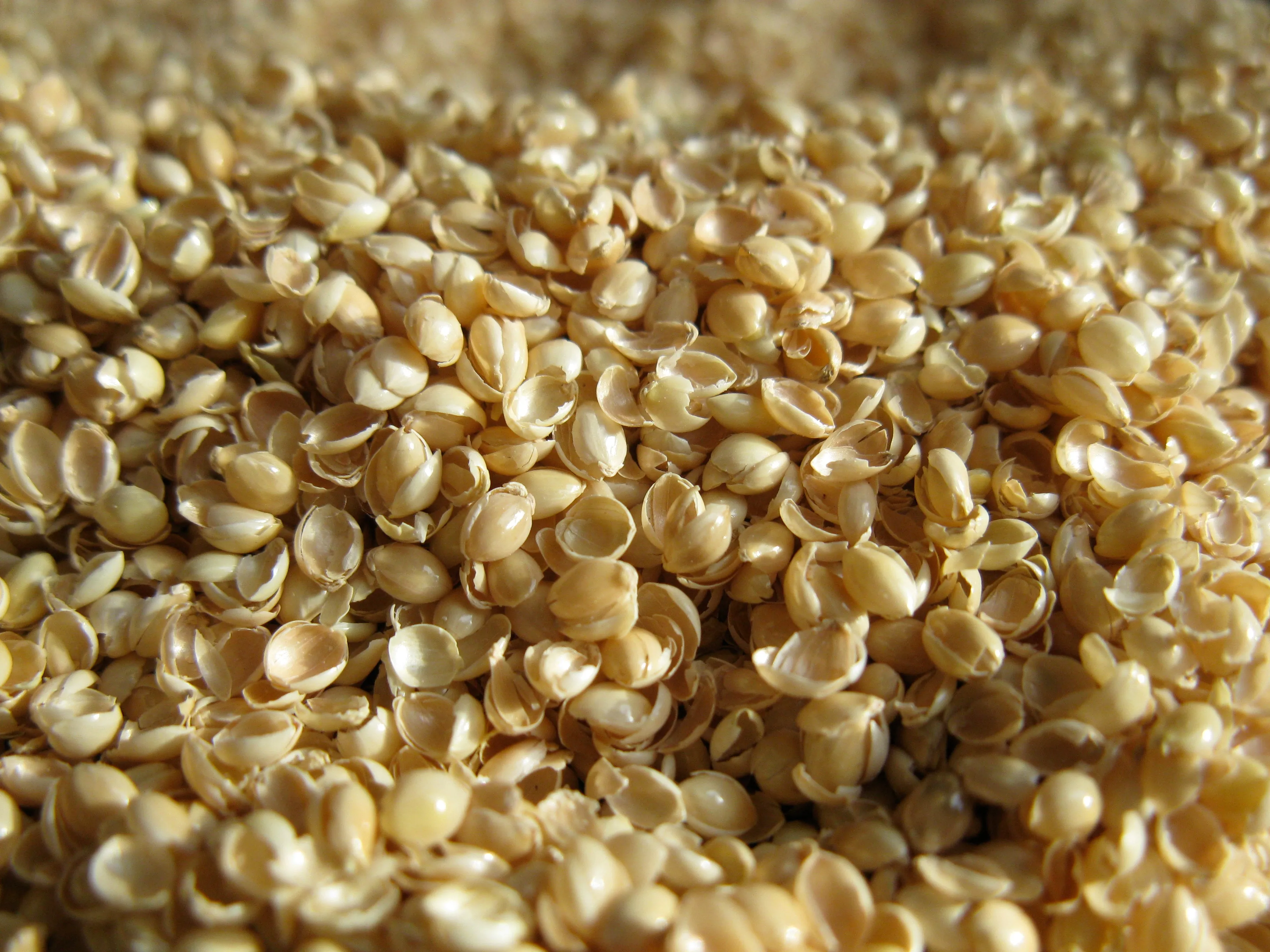 Millet Hulls fill - Organic - for Pillows Cushions and Crafts